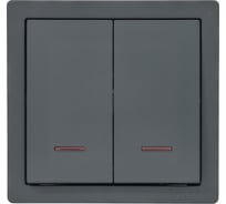 Выключатель Lezard LETO двойной с подсветкой графит 752-3400-112