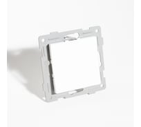 Заглушка SPL (белый) серия BW 12 шт. 201305