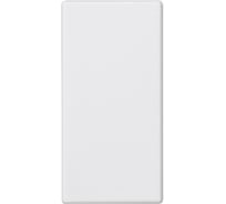 Заглушка SPL 22,5x45 (белый), 100 шт. 500119