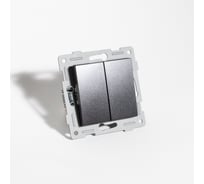 Выключатель SPL двухклавишный, 10А, 220-250V (антрацит) 12 шт. 201122