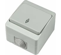 Переключатель 1-клавишный GUNSAN IP54, серый 16071300-100107
