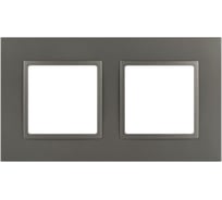 Рамка для розеток и выключателей ЭРА Elegance 14501216 Classic, на 2 поста, титан Б0065825