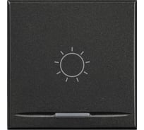 Клавиша Bticino Axolute с символами для системы автоматизации, для 1 функции - 2 модуля, Лампочка, цвет антрацит HS4915/2BA