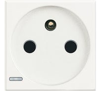 Розетка Bticino Axolute 2К+З, 10/16 А 250 В с экранированными контактами, цвет белый, французский стандарт HD4142