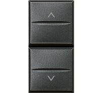 Кнопка двойная с блокировкой Bticino Axolute 1Р (NO) + 1Р (NO) 10 А 250 В~, цвет антрацит HS4037