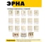 Компьютерная 1-местная розетка STEKKER Эрна RJ-45, механизм, слоновая кость PST00-9107-02 39325 7