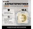 1-местная розетка STEKKER с заземлением, механизм, 250В, 16А, с защитной шторкой, Эрна, слоновая кость PST16-9110-02 39328 4