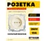 Розетка 1-местная б/з (механизм), PST10-9109-02 STEKKER 250В, 16А с защ. шторкой, серия Эрна, слоновая кость 39327 2