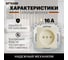 Розетка 1-местная б/з (механизм), PST10-9109-02 STEKKER 250В, 16А с защ. шторкой, серия Эрна, слоновая кость 39327 4