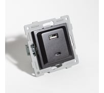 Розетка 2xUSB A/C SPL, 125-250V (антрацит) 12 шт. 201027