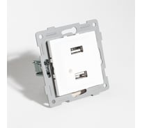 Розетка 2xUSB A SPL, 125-250V (белый) 12 шт. 201006
