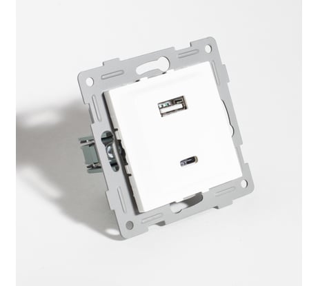 Розетка 2xUSB A/C SPL, 125-250V (белый) 12 шт. 201007