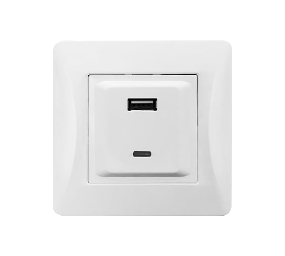 Розетка 2xUSB A/C SPL, 125-250V (белый) 12 шт. 201007