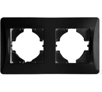 Рамка SPL 2 поста (антрацит) серия BW 12 шт. 201222