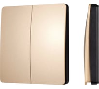 Кнопочная панель INTELLIGENT ARLIGHT KINETIC-801-22-2G-WP-SUF Gold IARL, 1шт 043313