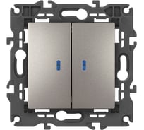Выключатель ЭРА Elegance 14110516 двойной с подсветкой, 10АХ250В, титан Б0065789
