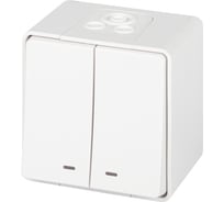 Выключатель ЭРА Эксперт 11150501 двойной, с подсветкой, IP55, 10АХ250В, ОУ, белый Б0063282