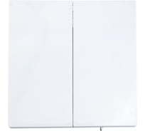 Выключатель Lezard ZIMA 2-ой, белый, безвинтовой ,зажим/клемма 704-0288-101QC