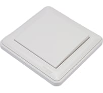 1-клавишный выключатель Systeme Electric скрытой проводки W59 10А IP20 10AX в сборе белый VS110-154-18