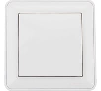 1-клавишный выключатель Systeme Electric скрытой проводки W59 10А IP20 10AX в сборе белый VS110-154-18