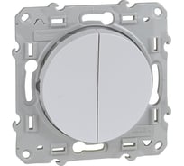 2-клавишный механизм выключателя Systeme Electric скрытой проводки Odace 10А IP21 2 белый S52R211