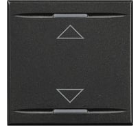 Клавиши Bticino Axolute с символами для системы автоматизации для 2 функций - 2 модуля, ВВЕРХ-ВНИЗ, цвет антрацит HS4911/2AH