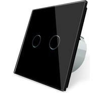 Двухклавишный сенсорный выключатель Bingoelec S1-201, черный 004