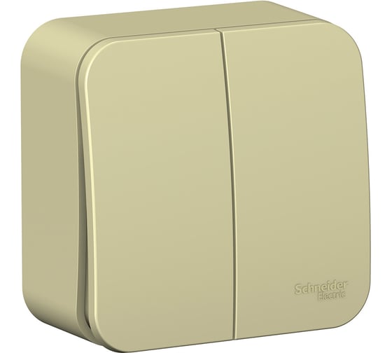2-клавишный выключатель Systeme Electric открытой проводки Blanca 10А IP20 5 250В бежевый BLNVA105017