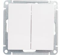 2-клавишный механизм выключателя Systeme Electric скрытой проводки W59 10А IP20 10AX белый VS510-252-1-86