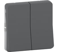 2-клавишный механизм переключателя Systeme Electric скрытой проводки Mureva Styl 10А IP55 6+6 антрацит MUR35019