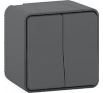 2-клавишный переключатель открытой проводки в сборе Systeme Electric Mureva Styl 10А IP55 6+6 антрацит MUR35022