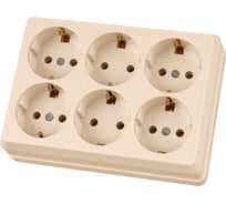 Розетка TDM ELECTRIC шестиместная, 2П+3, открытой установки, IP20, 16A, сл.кость, Ладога SQ1801-0246