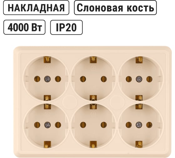 Розетка TDM ELECTRIC шестиместная, 2П+3, открытой установки, IP20, 16A, сл.кость, Ладога SQ1801-0246