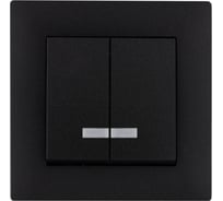 Выключатель MAKEL 2-клавишный СП KAREA RIZZ 10А IP20 с подсветкой черн. 88054023