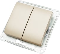 2-клавишный механизм переключателя Systeme Electric скрытой проводки Glossa 10А IP20 6/2 10AX титан GSL000465