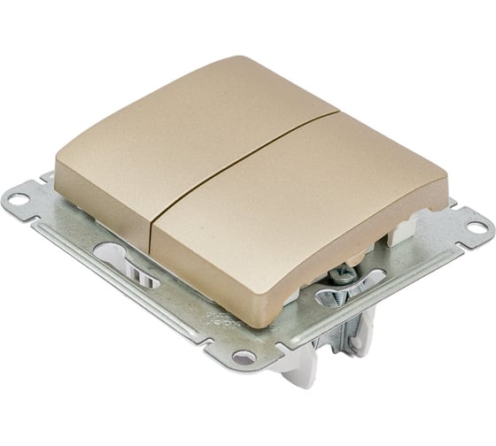 2-клавишный механизм переключателя Systeme Electric скрытой проводки Glossa 10А IP20 6/2 10AX титан GSL000465