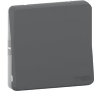1-клавишный механизм переключателя Systeme Electric скрытой проводки Mureva Styl 10А IP55 6 антрацит MUR37021