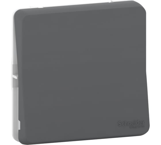 1-клавишный механизм переключателя Systeme Electric скрытой проводки Mureva Styl 10А IP55 6 антрацит MUR37021 1