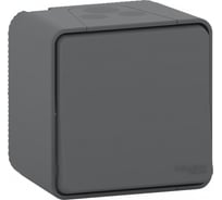 1-клавишный переключатель Systeme Electric открытой проводки Mureva Styl 10А IP55 6 в сборе антрацит MUR35021