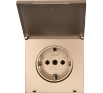 Розетка Lezard ZIMA с заземлением, с крышкой, ПБТ, золото, безвинтовой зажим/клемма 704-3688-123BQC