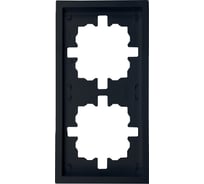 Рамка Lezard ZIMA 2-ая горизонтальная б/вст черный бархат 704-4200-147