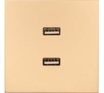 Розетка 2-ая USB разъем Lezard ZIMA золото 704-3688-192
