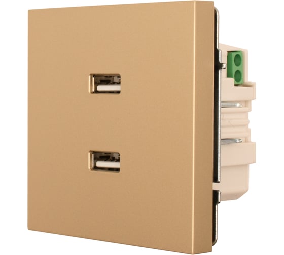 Розетка 2-ая USB разъем Lezard ZIMA золото 704-3688-192
