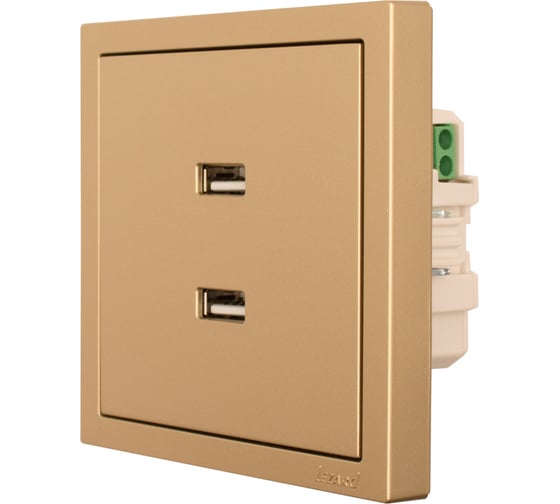 Розетка 2-ая USB разъем Lezard ZIMA золото 704-3688-192