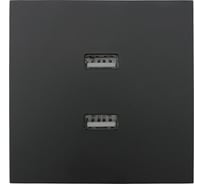 Розетка 2-ая USB разъем Lezard ZIMA черный бархат 704-4288-192
