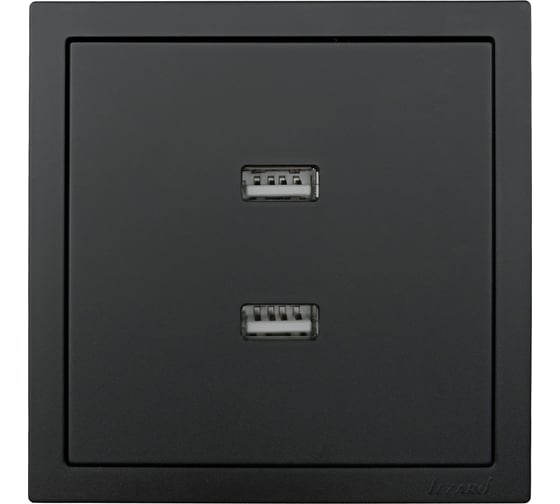 Розетка 2-ая USB разъем Lezard ZIMA черный бархат 704-4288-192