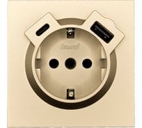 Розетка Lezard ZIMA с заземлением TC + USB разъем, золото 704-3688-181TC