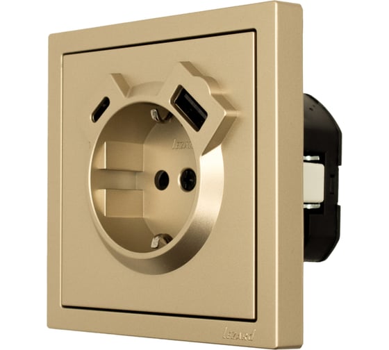 Розетка Lezard ZIMA с заземлением TC + USB разъем, золото 704-3688-181TC