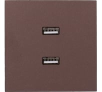 Розетка 2-ая USB разъем Lezard ZIMA шоколад 704-7388-192