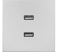 Розетка 2-ая USB разъем Lezard ZIMA серый матовый 704-7488-192